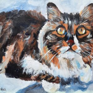 Madame le chat 1