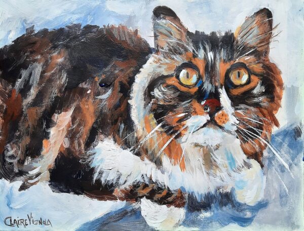 Madame le chat 1